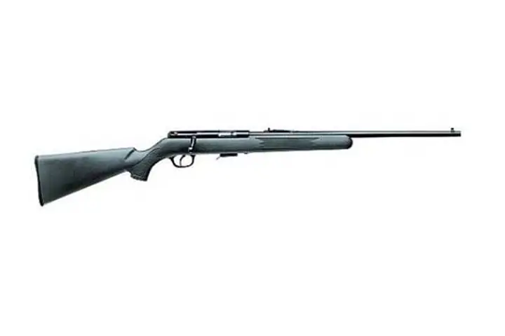 Savage Arms 300