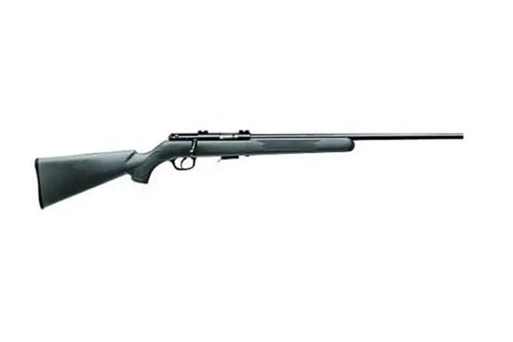 Savage Arms 300