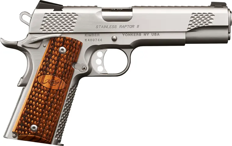 Kimber Stainless Raptor II