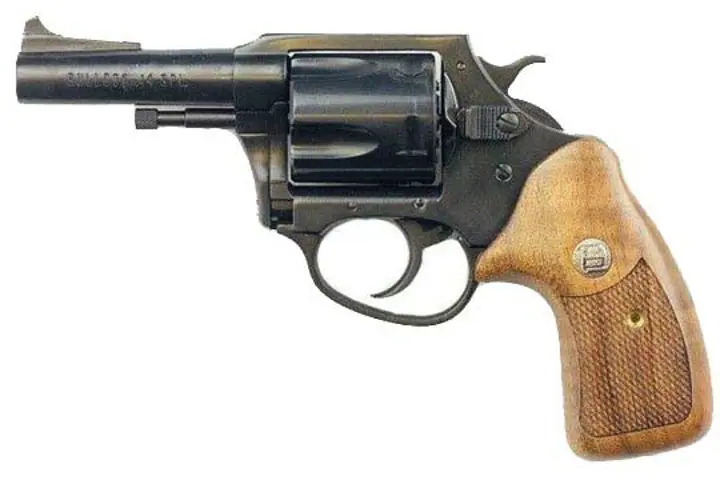 Charter Arms Bulldog