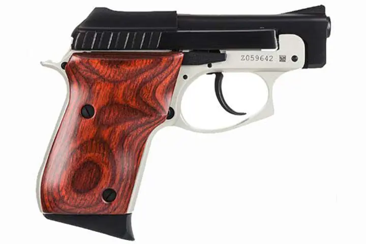Taurus PT-22