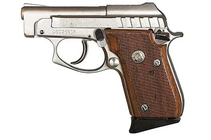 Taurus 25