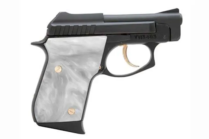 Taurus PT-22