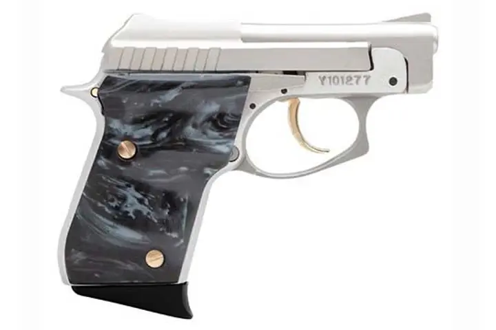 Taurus 25