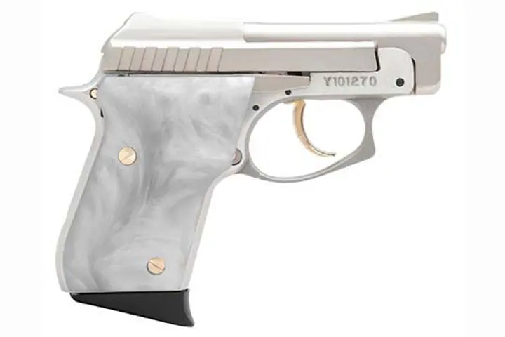 Semi Auto Taurus