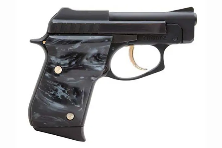 Taurus PT-22