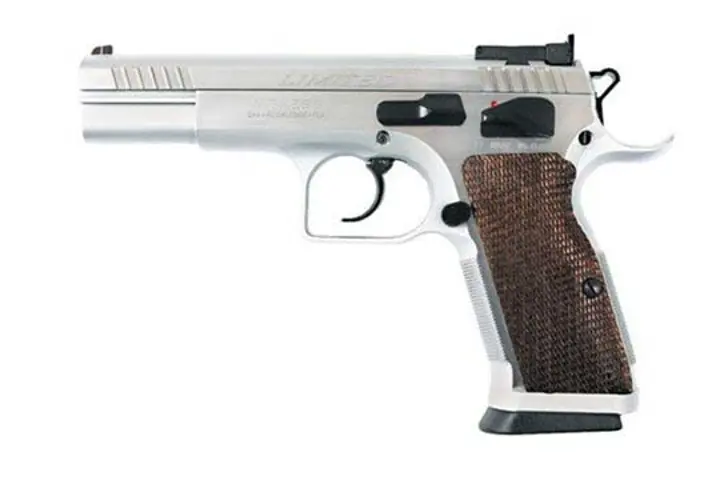 European American Armory Witness