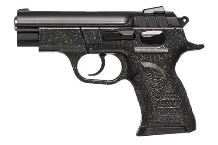 European American Armory Witness