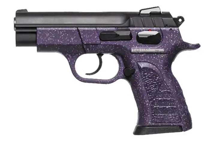 European American Armory Witness