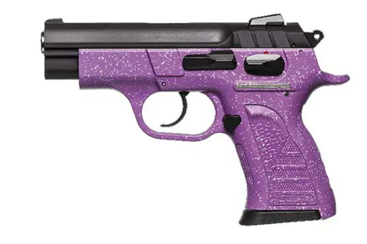 European American Armory Witness