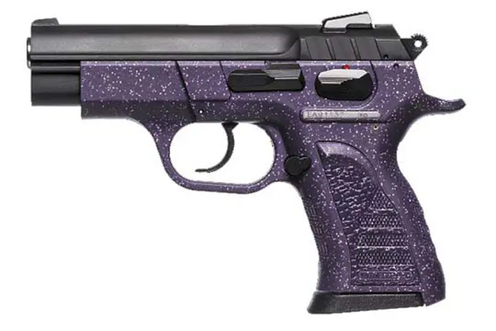 European American Armory Witness