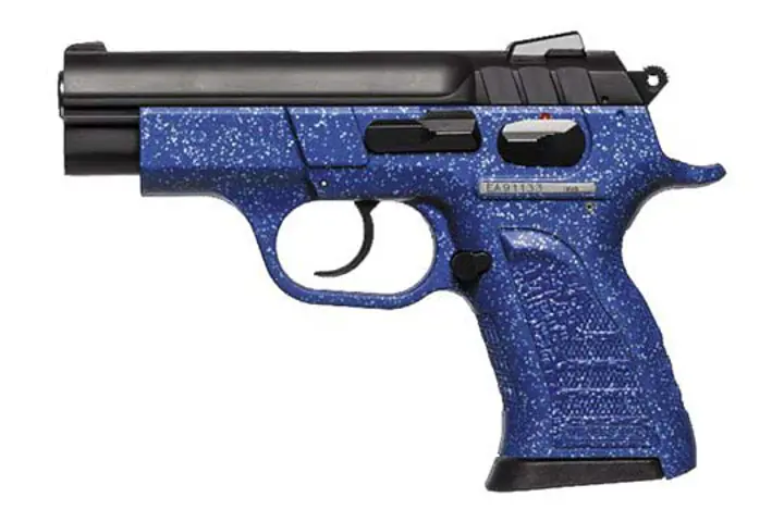 European American Armory Witness