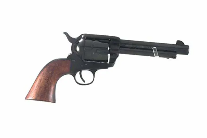 Century Arms 1873