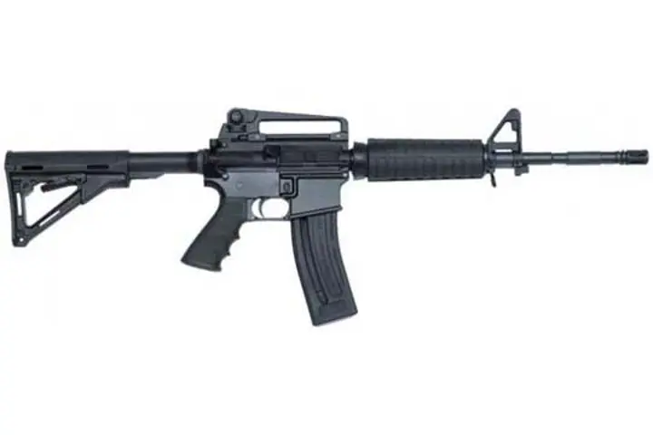 Chiappa Firearms MFour-22