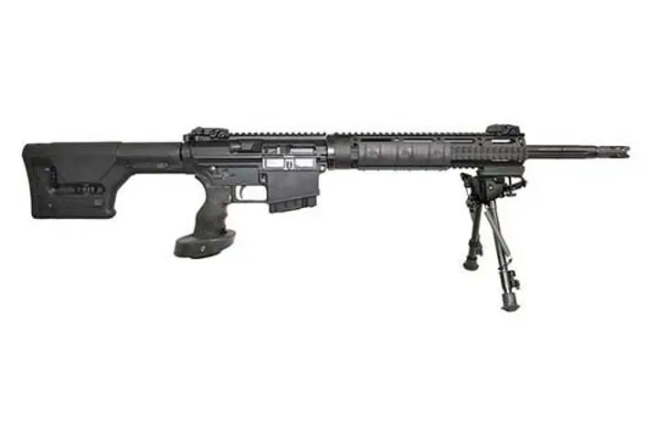 DPMS LR-308